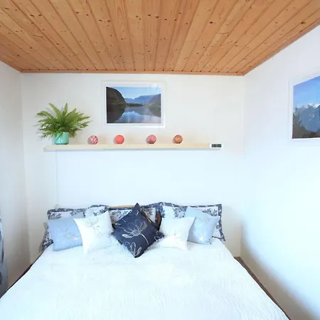 Untersee24 - Hallstatt Appartement *